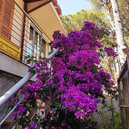 Lara Elite Apartman *